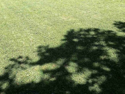 Lawn Care service in Forest Park, 30297