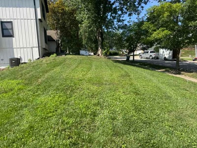 Lawn Care service in Laguna Beach, 92651