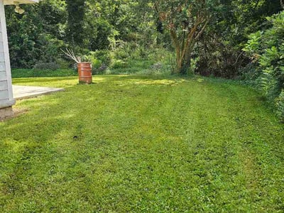 Lawn Care service in Forest Park, 30297