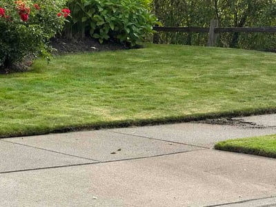 Lawn Care service in Snohomish, 98290