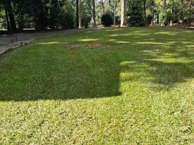 Lawn Care service in Venice, 90291