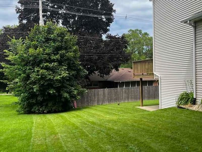 Lawn Care service in Carpentersville, 60110
