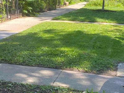 Lawn Care service in Carpentersville, 60110