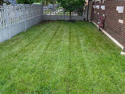 Lawn Care service in Warrenville, 60555