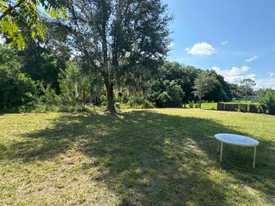 Lawn Care service in Downey, 90241