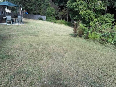 Lawn Care service in Franklinton, 27525
