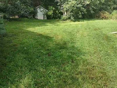 Lawn Care service in Clyde, 28721
