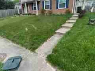 Lawn Care service in Renton, 98057