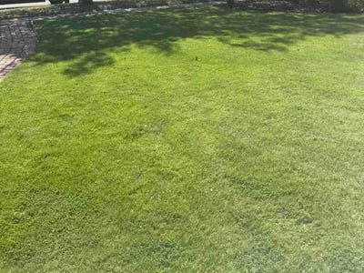 Lawn Care service in Toano, 23168