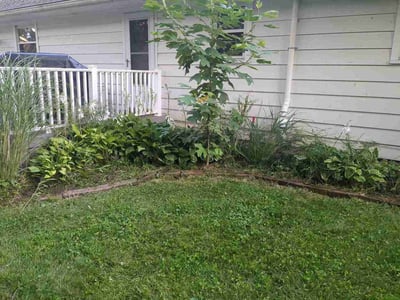Lawn Care service in Wausau, 54403