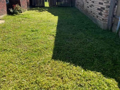 Lawn Care service in Anacortes, 98221