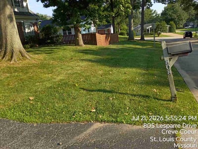 Lawn Care service in O Fallon, 63366