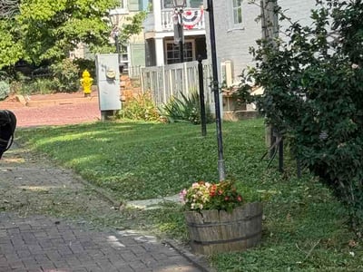 Lawn Care service in O Fallon, 63366