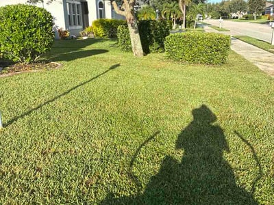 Lawn Care service in Key West, 33040