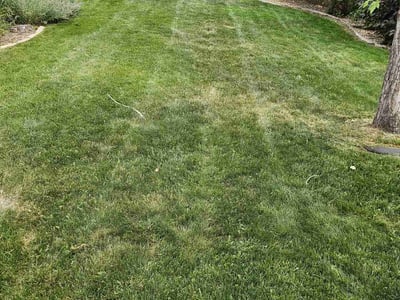 Lawn Care service in Lebanon, 97355