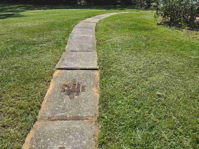 Lawn Care service in Camp Hill, 17011