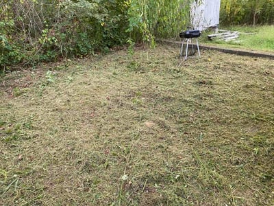 Lawn Care service in Tustin, 92780