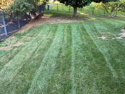 Lawn Care service in Mundelein, 60060