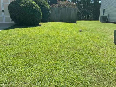 Lawn Care service in Hiram, 30141