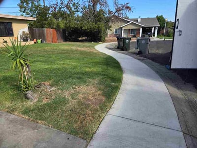 Lawn Care service in Sacramento, 95814