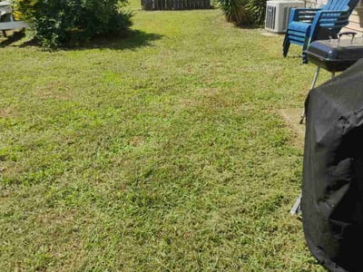 Lawn Care service in Cornelius, 28031