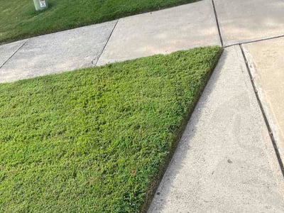 Lawn Care service in Mooresville, 28115