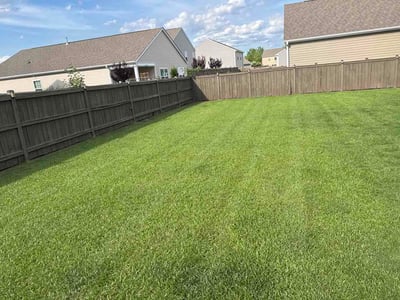 Lawn Care service in New Bern, 28560