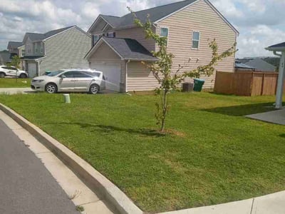 Lawn Care service in Branson, 65616