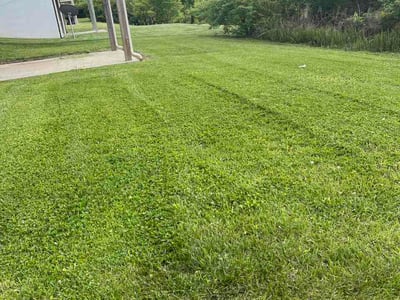 Lawn Care service in Marion, 62959