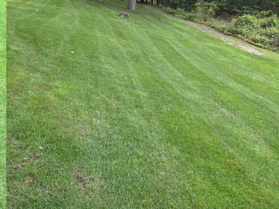 Lawn Care service in Auburn Hills, 48326
