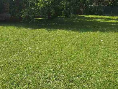 Lawn Care service in Algonquin, 60156