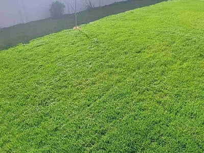 Lawn Care service in Cheney, 99004