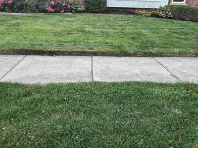 Lawn Care service in Walled Lake, 48390