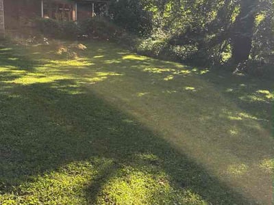 Lawn Care service in Ambler, 19002