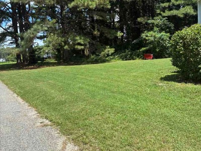 Lawn Care service in Gloucester, 23061