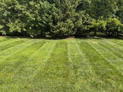 Lawn Care service in Chantilly, 20151