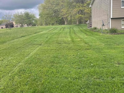 Lawn Care service in Anaheim, 92805