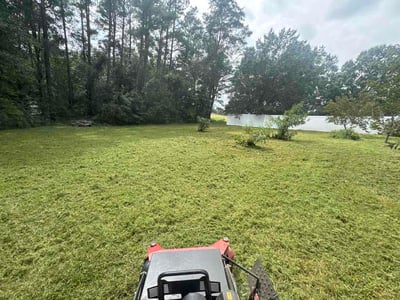 Lawn Care service in Chantilly, 20151