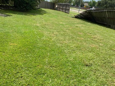 Lawn Care service in Anaheim, 92805