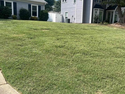 Lawn Care service in Reidsville, 27320