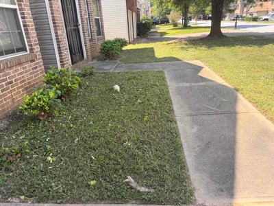 Lawn Care service in Monroe, 30655