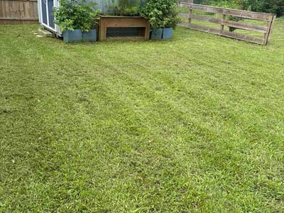 Lawn Care service in Napa, 94559