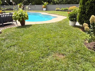 Lawn Care service in Napa, 94559