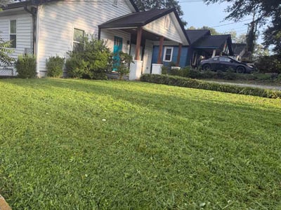 Lawn Care service in Gastonia, 28052