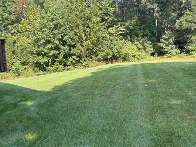 Lawn Care service in Chesterfield, 23832