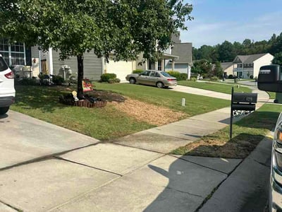 Lawn Care service in Mount Holly, 28120