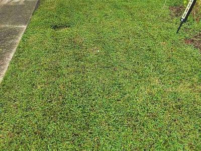 Lawn Care service in Hayes, 23072