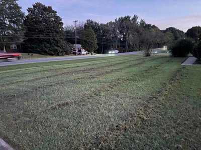 Lawn Care service in ,