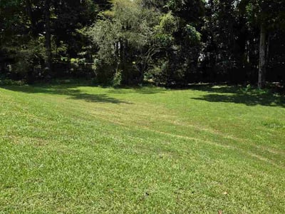 Lawn Care service in Fayetteville, 30214
