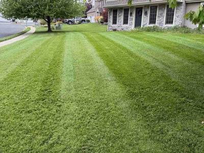 Lawn Care service in Lititz, 17543